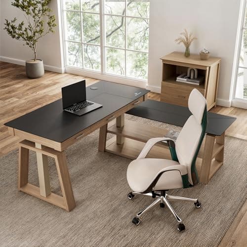 EUREKA ERGONOMIC Ark EX, 60x26 Executive Standing Desk,l Shaped Standing Desk,Adjustable Height Office Desk with Drawers,Computer Desk with Storage Drawers, Modern Executive Home Office Desk