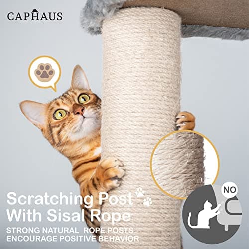 CAPHAUS 70-Inch Multi-Level Tall Cat Tree with Cute Top Perch, Scratching Posts, Cat Activity Tree w/Modern Hammock, Cat Cave Condo for Large Cats Kittens Tall Cat Climbing Play Tower 5