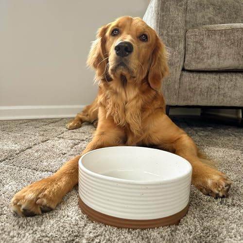 Mora Ceramic Pet Bowl Size Medium - Food/Water Dish for Large Puppies, Cats, Retrievers, Medium Sized Dogs, ect. 28oz or 4 Cups - Basic Bowls for Your Dog or Cat, Mix and Match for a Set - Vanilla 6