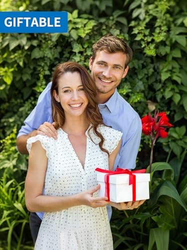 Kintiwe Pro Heated Blanket Battery Operated, 12V Portable Electric Heated Shawl Throw with Detachable Hood-Scarf,Heating Outdoor Camping Blanket Hoodie for Traveling,Picnics,Car,51.2''X70.8'' 8