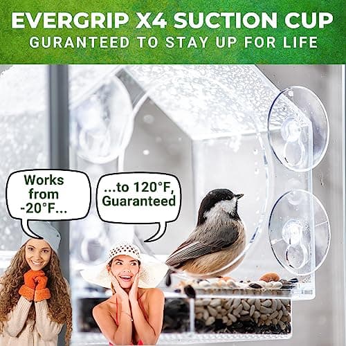 Nature Anywhere Window Bird Feeder - Weather Proof Transparent Acrylic Bird Feeders for Outdoors - Enhanced Suction Grip, Bird Watching for Cats, Easy-to-Clean, Outdoor Birdhouse Feeder (1 Unit) 5