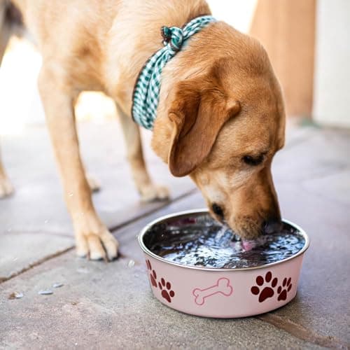Loving Pets Bella Dog Bowls- Stainless Steel Dog & Cat Bowls - Spill Proof Dog Food Bowl, Cat Bowl, Puppy Essentials & Pet Supplies Great for Home & Travel (Medium 20-35 lbs, Paparazzi Pink) 5