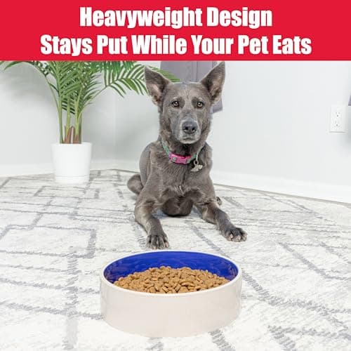 SPOT Standard Crock Dish - Heavy Duty, Non-Slip, Round Ceramic Food/Water Bowl for Pets, Ideal for Medium to Large Dogs or Multiple Animals, Dishwasher Safe - 9.5 in, 8 Cups, (64 Oz) 5