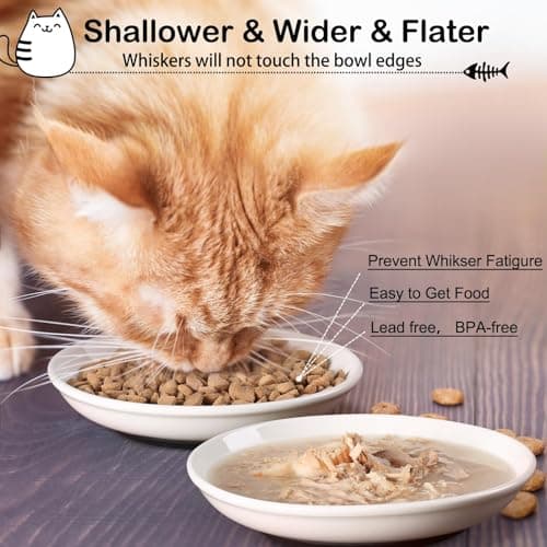 WROSWT Cat Food Bowl,Healthy Ceramic Cat Bowls for Indoor Cats,Anti Whisker Fatigue Cats Dishes Set,Shallow Wide Kitten Plates for Food and Water,Non-Slip Silicone Bottom,3 Pack 5