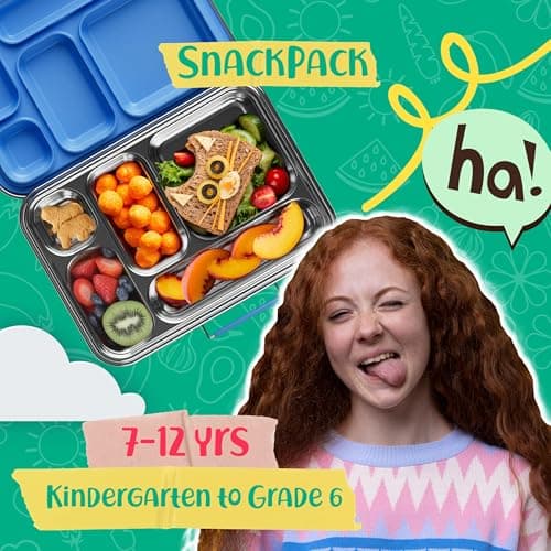 AOHEA Stainless Steel Bento Box Kids, Kids Metal Bento Lunch Box BPA Free Lunch Box Containers 304 Stainless Steel Bento Box for School and Office(Bule) 2