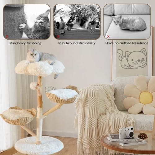 Real Wood Modern Cat Tree Tower for Indoor Cats Large Adult, Wooden Cat Tower with Scratching Post and Bed, Unique Handmade Aesthetic Cat Tree with Real Wood Branches, Luxury Boho Cat Furniture (XL) 6