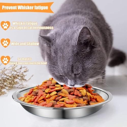 6 Pcs Stainless Steel Cat Bowls Shallow Wide Food Bowls for Cats Replacement Whisker Fatigue Relief for Small Dogs and Cats Indoors (Silver) 5