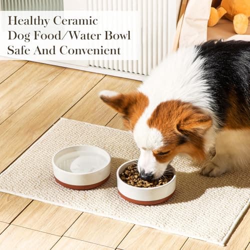 MALACASA Dog Bowls, Ceramic Dog Food and Water Bowls for Small Size Dogs, 1.5 Cups Capacity Pet Bowl for Puppy & Cats (S-1.5 Cups) 5