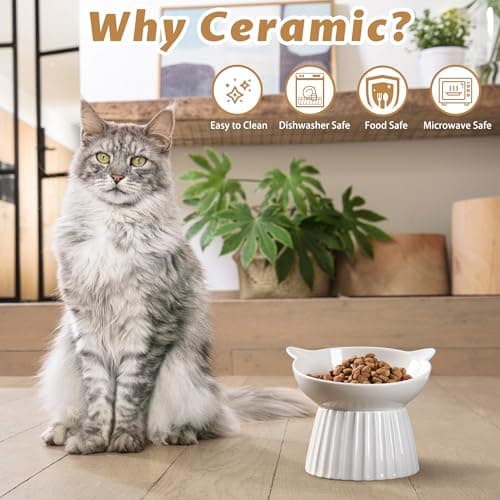 Wellbro Ceramic Raised Cat Bowl，Tilted Raised Cat Bowl Anti Vomit Cat Bowls for Indoor Cats Whisker Friendly Pet Feeder for Cats Puppies, Microwave and Dishwasher Safe 6