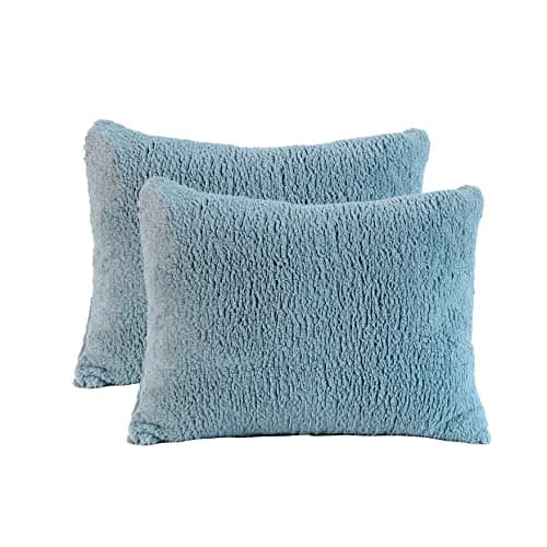 Reafort Ultra Soft Sherpa Pillowcases Pillow Covers Standard Size 20"x26" Pack of 2 with Zipper Closure (Blue, 20”x26” Standard Sham)