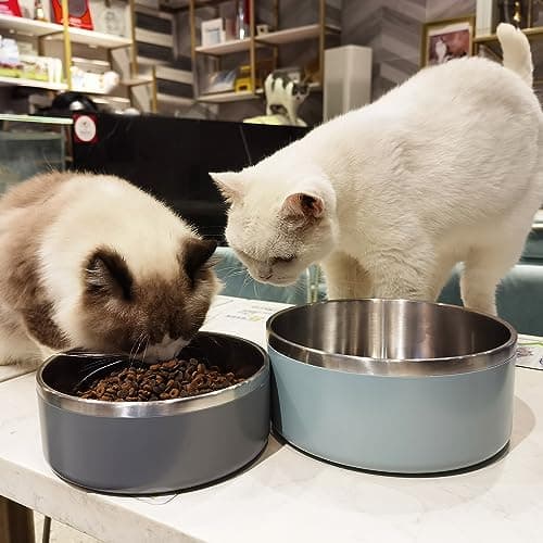 LIHONG Dog Bowls,Stainless Steel Dog Bowls for Large Dogs,Dog Food Water Bowls with Non Slip Rubber Bottom,Pet Feeding Bowl,Double Wall Insulated,Rustproof(64oz,Deep Grey) 9