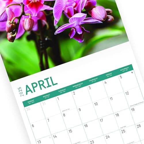 2025 Flowers Monthly Wall Calendar by Bright Day, Includes Over 300 Stickers, 12 x 12 Inch 8