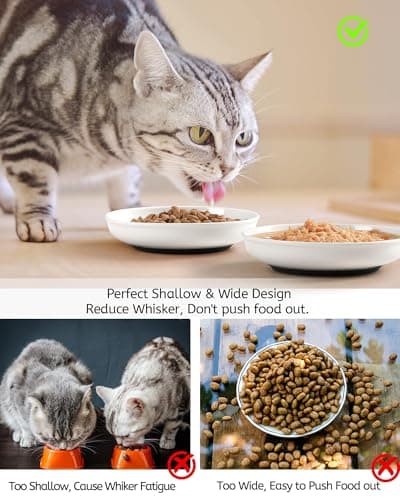WROSWT No Spill Cat Bowls,Cat Food Bowl,Anti Whisker Fatigue Healthy Ceramic Cats Dishes Set for Indoor Cats,Shallow Wide Kitten Plates for Food and Water,Non-Slip Silicone Bottom,3 Pack 5