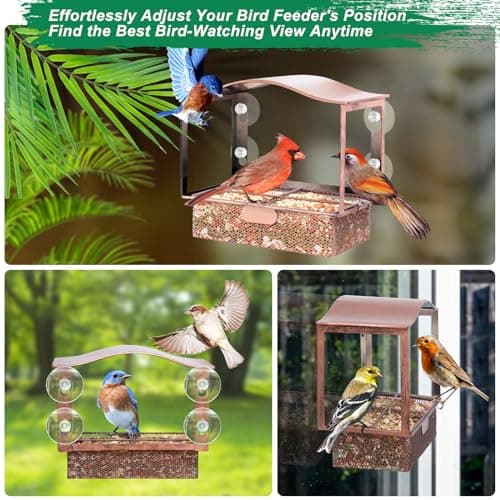 Lilyang Window Bird Feeder, Metal Bird Feeder Window with Wide View, Window Bird Feeders with Strong Suction Cups, Wild Bird Feeders for Bird Watching Presents 6