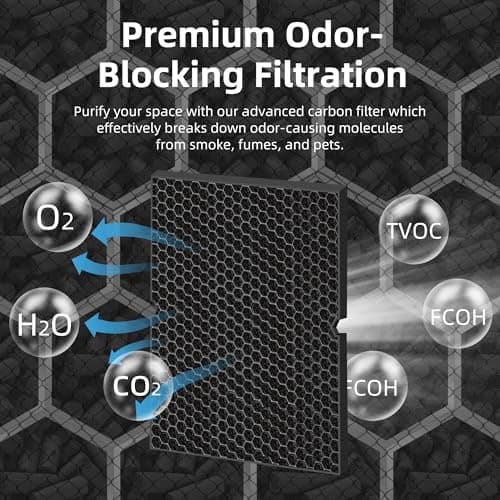 116130 HEPA Replacement Filter H for Winix 5500-2 Am80 Plasmawave Air Purifier,H13 True HEPA High-Efficiency Activated Carbon Filter,2 Combo Set 6