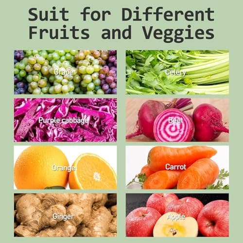 whall Masticating Slow Juicer, Professional Stainless Juicer Machines for Vegetable and Fruit, Touchscreen Cold Press Juicer with 2 Speed Modes,Silver 6