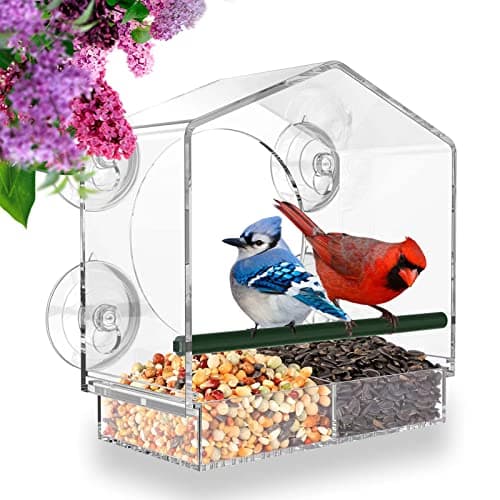 Mrcrafts Window Bird Feeder for Outside with Strong Suction Cups, Fits for Cardinals, Finches, Chickadees etc.