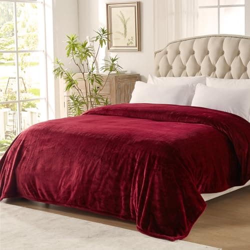 Westinghouse Heated Blanket Twin Size, Electric Heating Blanket with 10 Heating Levels, 1-12 Hours Auto Shut Off, Fast Heating Warming Blanket, Machine Washable (Twin, 62x84 Inches, Wine Red)