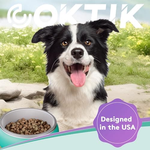 COKTIK Dog Bowl, Insulated Stainless Steel Food Bowls for Dogs & Cats, Non-Slip Dog Bowls Water Bowl Large Breed, Easy to Clean, Durable and Dishwasher Safe (32oz, Black) 6