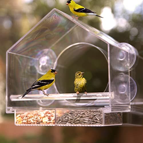 Nature Anywhere Window Bird Feeder - Weather Proof Transparent Acrylic Bird Feeders for Outdoors - Enhanced Suction Grip, Bird Watching for Cats, Easy-to-Clean, Outdoor Birdhouse Feeder (1 Unit) 6