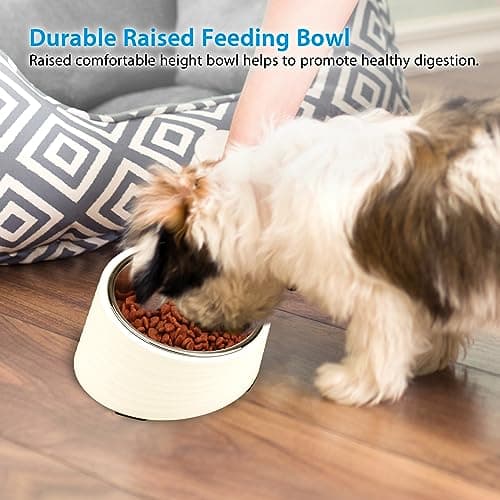 Uppetly Slanted Small Cat Food Bowl 0.5 Cup, 15° Tilted Stainless Steel Mini Dog Puppy Food Bowl, Non-Slip & Non-Spill Small Kitten Pet Feeder with Elevated Detachable Melamine Stand, Easy to Get Food 7