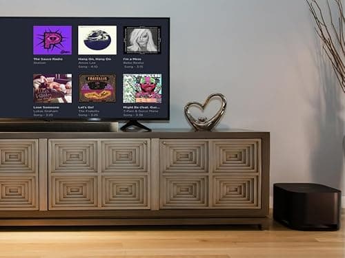 Roku Wireless Subwoofer 3