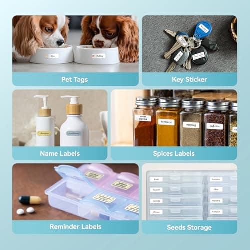 NIIMBOT Label Maker Machine D11 Label Printer Portable Wireless Connection Multiple Templates Available for Phone Easy to Use Office Home Organization USB Rechargeable 6