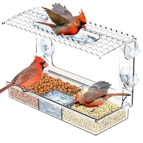 Acrylcc Window Bird Feeders with Strong Suction Cups for Window Viewing and Balcony,See Through Wild Birdfeeder with Bath and Water Combo,Clear Windows Bird Feeder for Cats,Kids,Birds Lover Gifts
