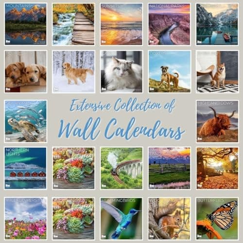 Wild Flowers Wall Calendar 2026 | 12" x 24" Open | Giftable Floral Garden Calendar 2026 | Thick & Sturdy Paper for Organizing & Planning | Pacific Waters Press (Wild Flowers) 8