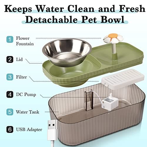 TODDLT Water Fountain for Cats Inside, Cat Feeding & Watering Supplies, Super Quiet Automatic Pet Water Dispenser 100oz/3L with Stainless Steel Cat Bowls and Long Life Span Pump 5