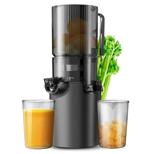 WISKEMA Slow Masticating Juicer, Citrus Juicers with Wide Flip Inlet for Vegetables and Fruits