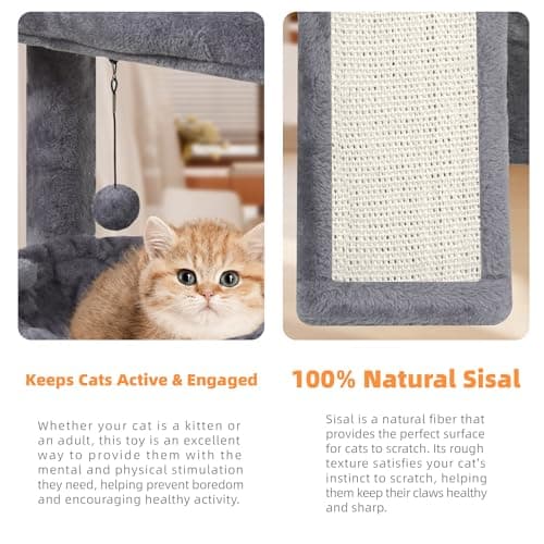 YOUPET Cat Tree with Cat Scratching Post for Indoor Cats, Cat Tower with Scratching Board and Playful Toy Balls, Cat Tree Tower with Cozy Hammock,Grey 6
