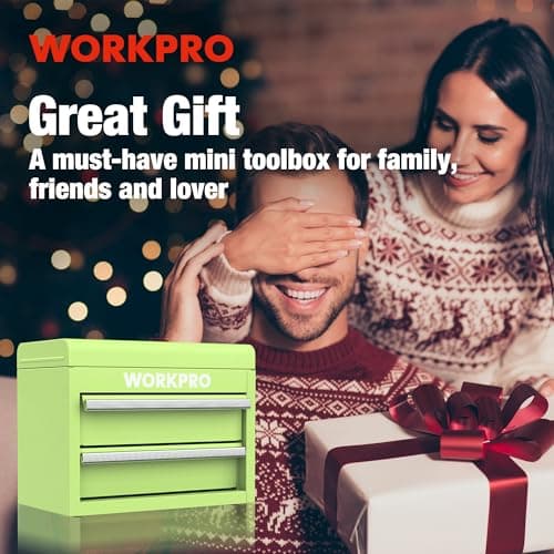 WORKPRO Mini Metal Tool Box with 2 Drawers and Top Storage, Small Tool Chest with PVC Liners and PP Feet Pads, Cold Rolled Steel Toolbox with Magnetic Tab 8