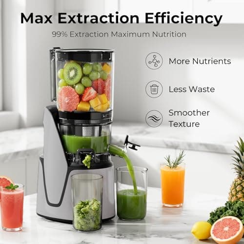 EanOruus Juicer Machines, 3-in-1 Cold Press Juicer with 6.5" Extra Large Chute, 100oz Large Capacity, AC Motor, Makes Juice, Nut Milk & Sorbet, Silver Gray 8