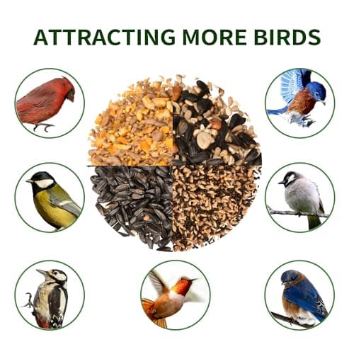 Solution4Patio US Cedar Hopper Bird Feeder for Outdoors Hanging, Handcrafted Wood Double Suet Cage & Clear View Windows, Squirrel-Proof Wild Bird Feeder for Cardinals, Finches, Chickadees 8