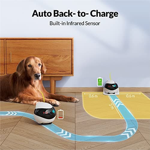 Enabot EBO Air Home Security Pet Camera, 2 Way Talk, Night Vison, Wireless APP Remote Control Indoor Security Camera, Movable Rechargeable Cam for Dog/Cat/Baby, SD Card Storage 5