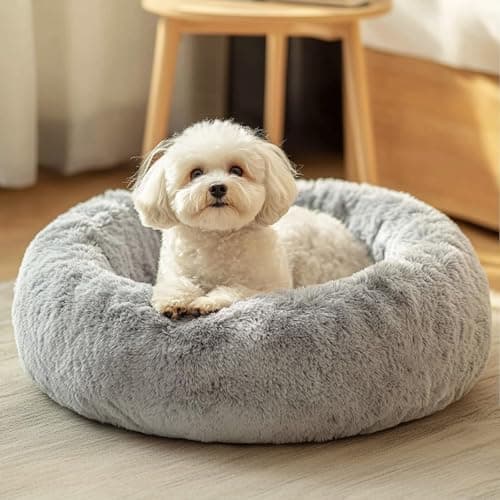 JOLLYVOGUE Small Dog Bed, Calming Soft Anti-Anxiety Donut Cat Bed, Washable Round Fluffy Cushion for Small and Medium Pets (20")