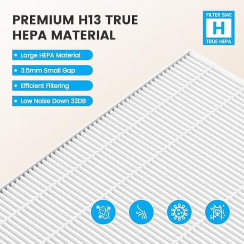 Smilyan 2 Sets 116130 HEPA Replacement Filter H for Winix 5500-2 Plasmawave Air Purifier and Models AM80, Includes 2 Pack Ture HEPA Filters + 2 Pack Activated Carbon Pre-Filters 6