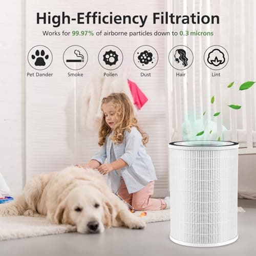 2 Pack HEPA KILO Filter Compatible with Afloia KILO, KILOPLUS, KILOPRO, MIRO,MIRO PRO and MORENTO MR-Kilo, Kalo Air Purifier, 360° 3-Stage Filtration for Odor,Smoke,Dust,Pollen,Pets 6