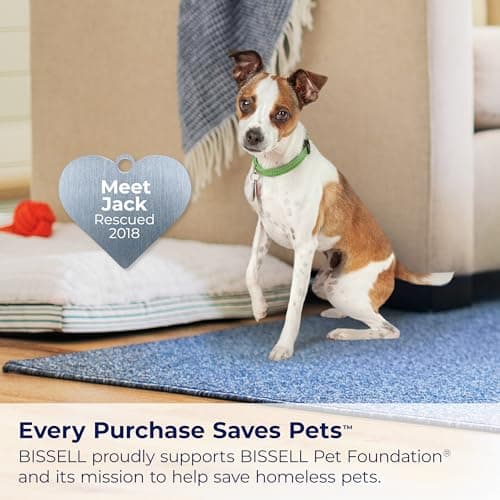 BISSELL® Little Green® Max Pet Portable Carpet and Upholstery Deep Cleaner, Car/Auto Detailer, with Self-Cleaning Tough Stain Tool and Pet Hair Removal Tool (3860) 8