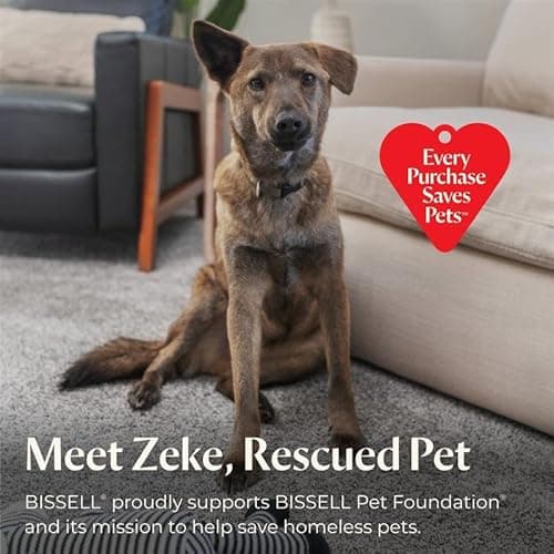 BISSELL Crosswave Pet Pro All in One Wet Dry Vacuum Cleaner and Mop for Hard Floors and Area Rugs, Purple, 2306A 6