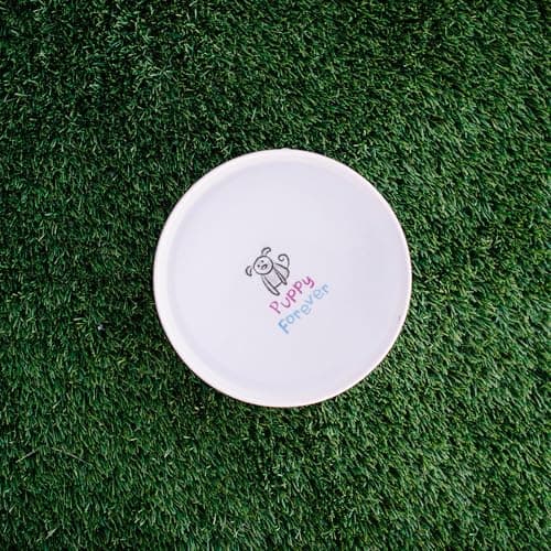 Loving Pets Dolce Moderno Ceramic Look Dog Bowl – Modern Melamine Dog Food Bowl & Dog Water Bowl – Durable, Non-Slip Pet Dish for Small & Medium Dogs – Dishwasher Safe Dog Bowl (Small, 16 oz) 6