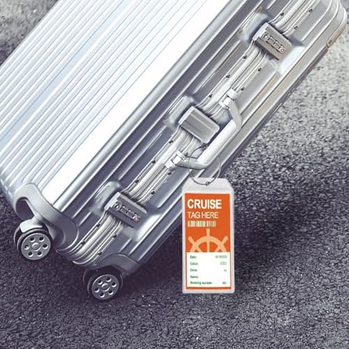 5Pack Cruise Luggage Tags,PVC Holders Fitting for Printing Label Tags, Waterproof with Resealable Zipper & Steel Loops 6