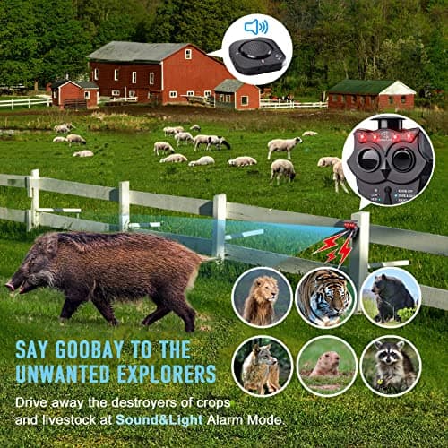 1/2 Mile Long Range Solar Wireless Driveway Alarm System IP65 Weatherproof Outdoor Motion Detectors&Sensor 120dB Siren Sound Light Security Alert System Monitor&Protect Outdoor/Indoor Property(1R1S) 7