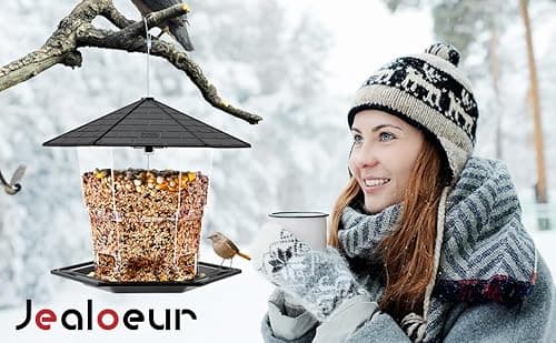 Jealoeur Bird Feeders for Outdoors Hanging Bird Feeder Wild Birds Seed, Black 9