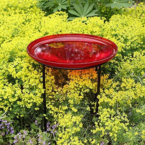 Achla Designs FB-14 Ring Wrought Iron Metal Plant birdbath Bowl Stand Flowerpot Holder, Black 8