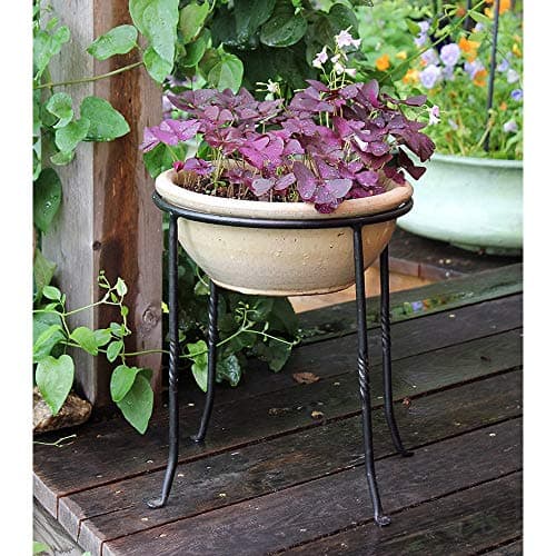 Achla Designs FB-14 Ring Wrought Iron Metal Plant birdbath Bowl Stand Flowerpot Holder, Black 7