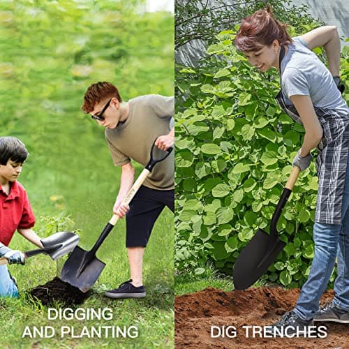 KOLEIYA 41 Inch Round Point Shovel for Digging,Heavy Duty Garden Shovel with D-Handle,Wooden Handle,Ideal for Gardening,Landscaping,Beach,and Snow Removal 5