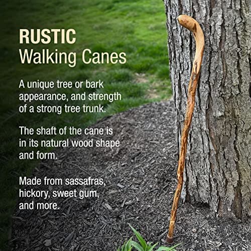 Brazos Rustic Wood Walking Cane, Hardwood, Knob Root Style Handle, for Men & Women, Made in the USA, 37" 6