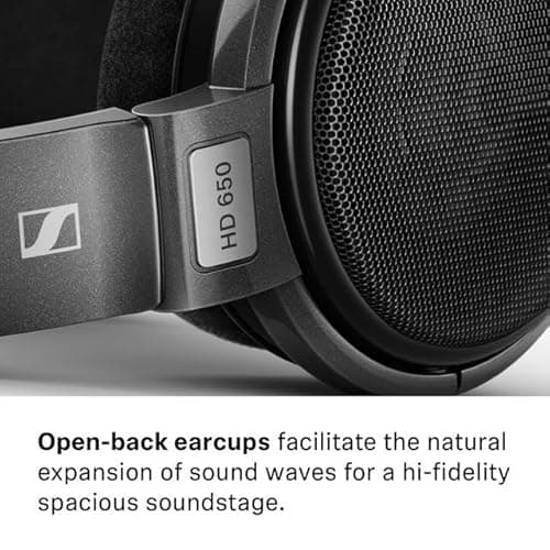 Sennheiser Consumer Audio HD 650 - Audiophile Hi-Res Open Back Dynamic Headphone, Titan 7